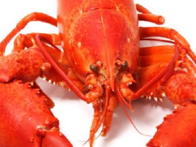 如何飲食可以減肥？瘦身飲食減肥秘訣總結