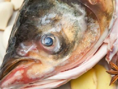 如何減肥瘦肚子?教你健康減肥法快速瘦肚子