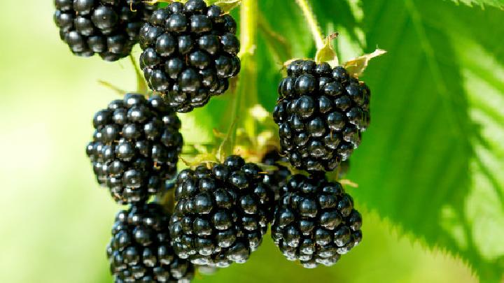 無氧運動可以減肥嗎?減肥者別小看無氧運動-易網健康<a href=http://www.xllyou.com/jkys/ target=_blank class=infotextkey>養生</a>網 無氧運動可以減肥嗎?減肥者別小看無氧運動