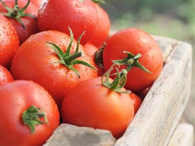 跳繩減肥瘦腿嗎？跳繩減肥的優點有哪些？