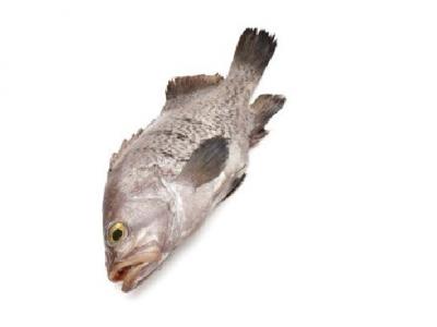 米飯加什么可以減肥?煮米飯加點這些竟然能減肥