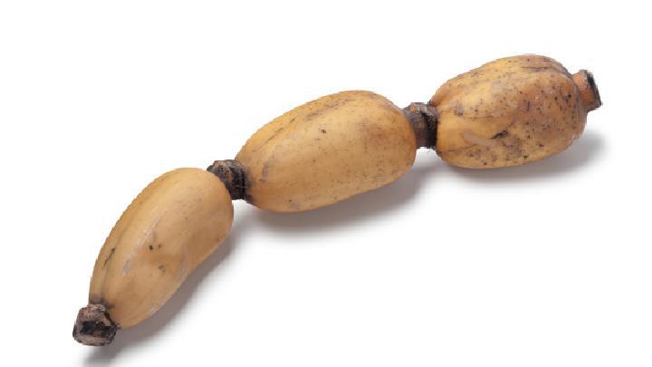 如何運動減肥？科學有效的6種減肥運動分享