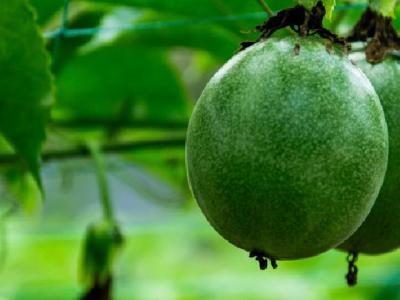 蛙泳減肥效果怎么樣？掌握這4個小技巧效果翻倍！