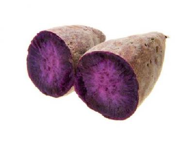 什么運動減肥效果好?推薦這5種適合減肥的運動項目