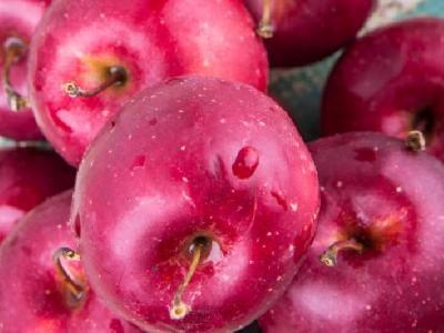 拔罐減肥有什么好處？盤點三個拔罐減肥的好處