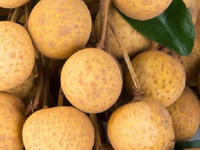 晚上吃水果減肥嗎?減肥期間如何吃水果?