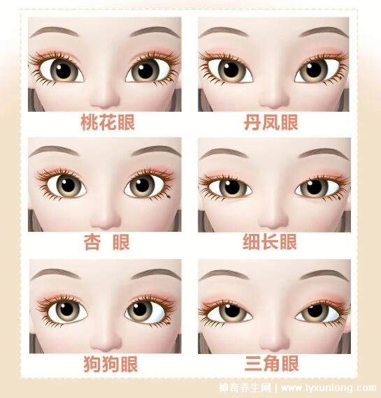 二十種眼形大全圖解,杏眼/狗狗眼/混血眼非常有特點-易網(wǎng)<a href=http://www.xllyou.com/ target=_blank class=infotextkey>健康養(yǎng)生</a>網(wǎng) 二十種眼形大全圖解,杏眼/狗狗眼/混血眼非常有特點