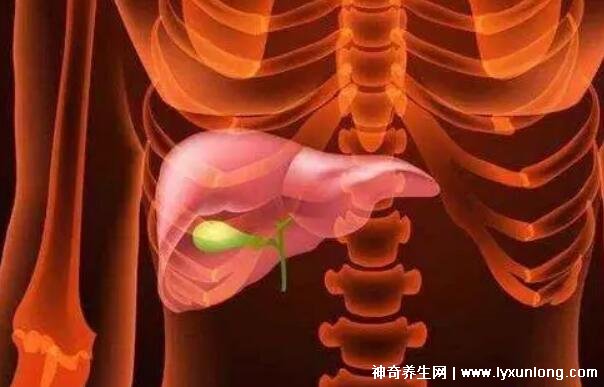 膽囊息肉最怕三種運動,散步/游泳/瑜伽(千萬別舉重爬山)-易網(wǎng)健康<a href=http://www.xllyou.com/jkys/ target=_blank class=infotextkey>養(yǎng)生</a>網(wǎng) 膽囊息肉最怕三種運動,散步/游泳/瑜伽(千萬別舉重爬山)