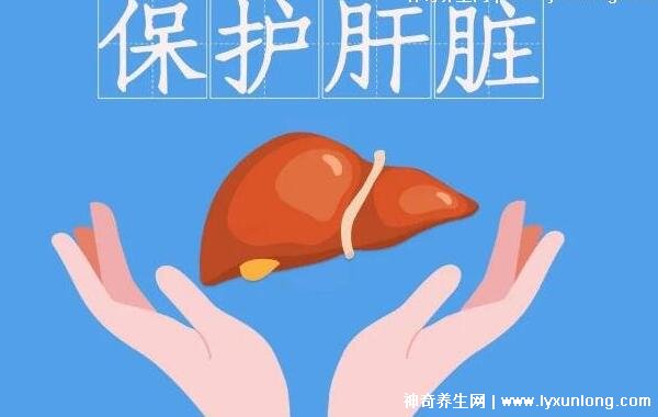 肝臟最怕三個運動脂肪肝，慢跑/瑜伽/游泳(附養(yǎng)肝第一水果)