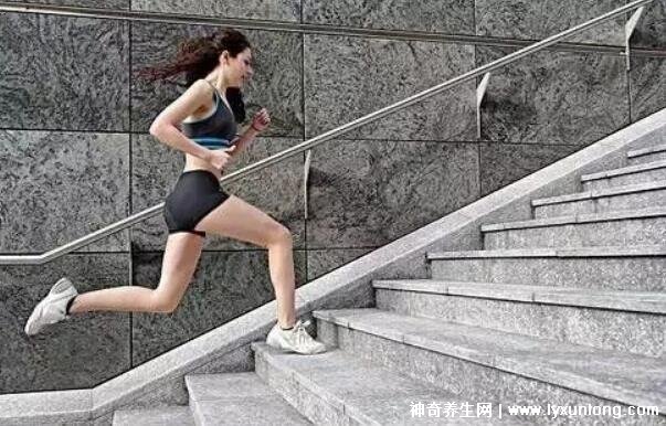 為什么慢跑三個月后才開始瘦，30分鐘后才燃燒脂肪(初期長肌肉)