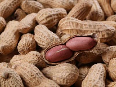 桑葚減肥茶的功效與作用分別是什么？