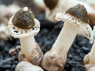 月經一周后減肥方法有哪些？經期過后如何減肥？