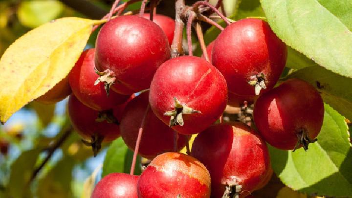 男生減肥練肌肉怎么做?男性減肥好方法介紹-易網健康<a href=http://www.xllyou.com/jkys/ target=_blank class=infotextkey>養生</a>網 男生減肥練肌肉怎么做?男性減肥好方法介紹