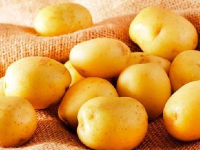 氣虛濕熱體質怎樣減肥有效果呢？氣虛濕熱體質減肥方法