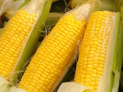 生理期減肥方法有哪些？教你生理期怎么減肥