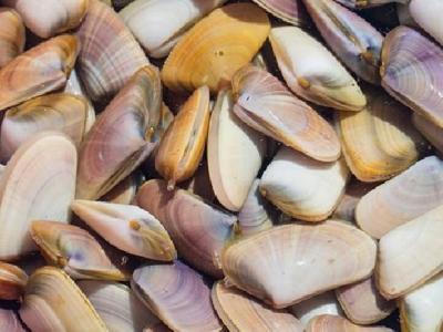 什么運動減肥簡單有效呢?適合減肥的運動方法推薦