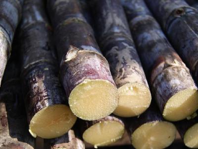 呼啦圈減肥多重合適?呼啦圈減肥需要注意什么?