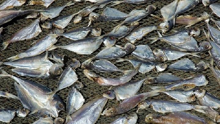 茯苓夾餅能減肥嗎?茯苓餅有減肥的功效嗎?-易網健康<a href=http://www.xllyou.com/jkys/ target=_blank class=infotextkey>養生</a>網 茯苓夾餅能減肥嗎?茯苓餅有減肥的功效嗎?