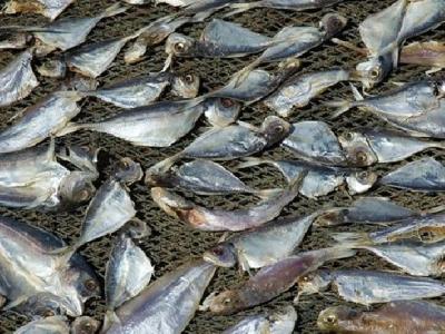 茯苓夾餅能減肥嗎?茯苓餅有減肥的功效嗎?