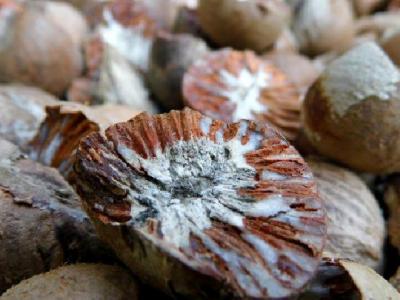 中醫(yī)如何減肥?按這饑點穴輕松減肥