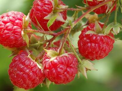 徒步可以減肥嗎?每天徒步多長(zhǎng)時(shí)間能減肥?