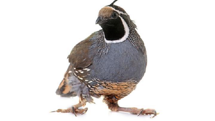 快速減肥的方法不吃藥有哪些?如何減肥更快?-易網<a href=http://www.xllyou.com/ target=_blank class=infotextkey>健康養生</a>網 快速減肥的方法不吃藥有哪些?如何減肥更快?