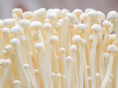 晚上跳繩到底能減肥嗎？如何減肥效果好？