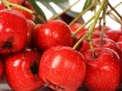 暖宮減肥方法有哪些？暖宮減肥真的可以瘦下來(lái)嗎？