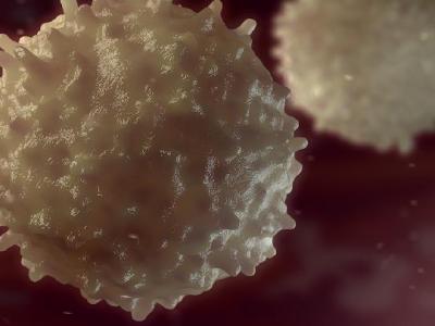 什么時候跳繩對減肥最好呢?跳繩減肥的最佳時間是什么時候?