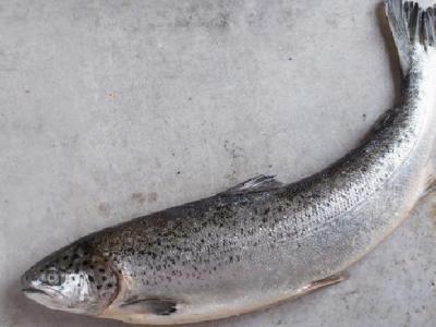 夏季減肥餐吃什么好?夏季減肥食譜推薦