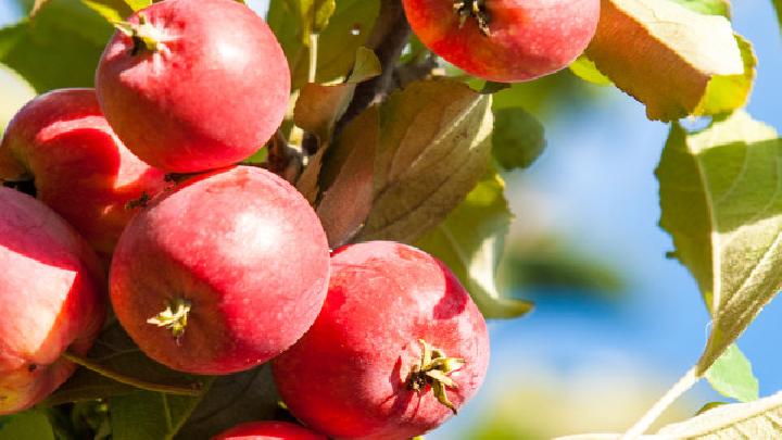 經常做什么運動可以減肥快?減肥最好的運動方法介紹-易網<a href=http://www.xllyou.com/ target=_blank class=infotextkey>健康養生</a>網 經常做什么運動可以減肥快?減肥最好的運動方法介紹