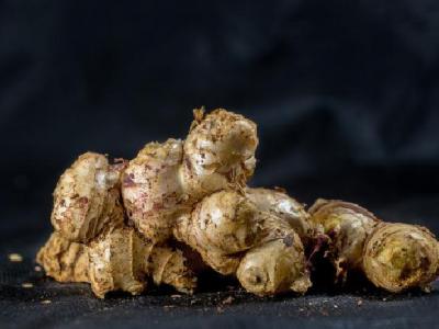 怎樣減肥不反彈?建議多吃這些低脂肪食物