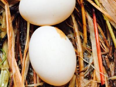 肌肉型大腿怎么減肥?瘦腿的方法介紹