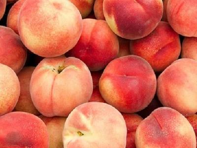 三七花減肥效果好不好?三七花泡水喝能減肥嗎?