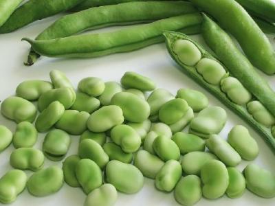 減肥飲食有什么原則？先菜后飯讓你快速瘦下來