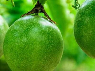 肌肉腿的減肥方法是什么?肌肉腿如何減肥?