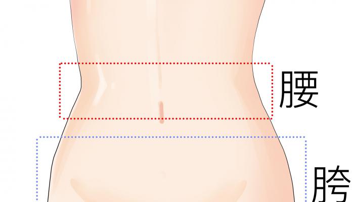 如何科學(xué)的減肥瘦身-易網(wǎng)<a href=http://www.xllyou.com/ target=_blank class=infotextkey>健康養(yǎng)生</a>網(wǎng) 如何科學(xué)的減肥瘦身