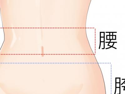 如何瘦腰和肚子