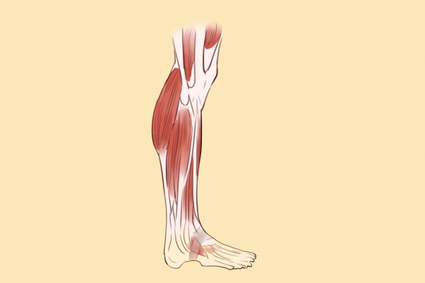 怎樣瘦小腿最快最有效的方法-易網(wǎng)<a href=http://www.xllyou.com/ target=_blank class=infotextkey>健康養(yǎng)生</a>網(wǎng) 怎樣瘦小腿最快最有效的方法
