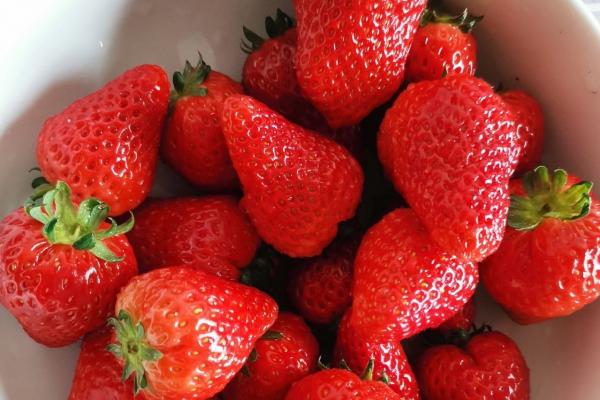 草莓吃多了會胖嗎-易網<a href=http://www.xllyou.com/ target=_blank class=infotextkey>健康養生</a>網 草莓吃多了會胖嗎