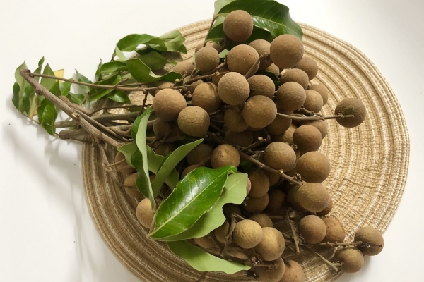 吃桂圓會(huì)胖嗎