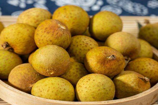 吃桂圓會(huì)胖嗎