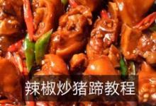 辣椒炒豬蹄的做法-咸鮮味燉菜譜