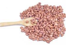 秋季胃不好怎么辦？多吃這些食物能養(yǎng)胃