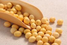 秋季養生吃什么?這3種豆類最適合