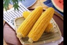 糖尿病吃玉米需注意:黏玉米更易升血糖