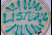 謹(jǐn)防冰箱里的“殺手”：李斯特菌