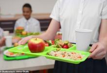 校園餐與營養課有助于降低青少年肥胖率