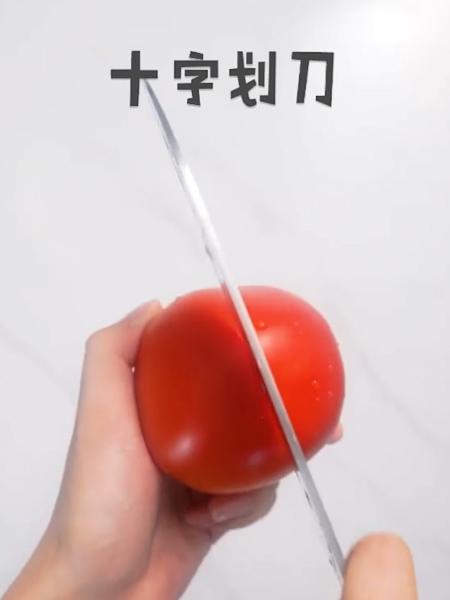 番茄牛腩的做法-家常味炒菜譜