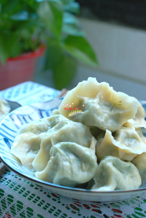 茴香雞蛋素水餃的做法-家常味煮菜譜-易網健康養生網 茴香雞蛋素水餃的做法-家常味煮菜譜